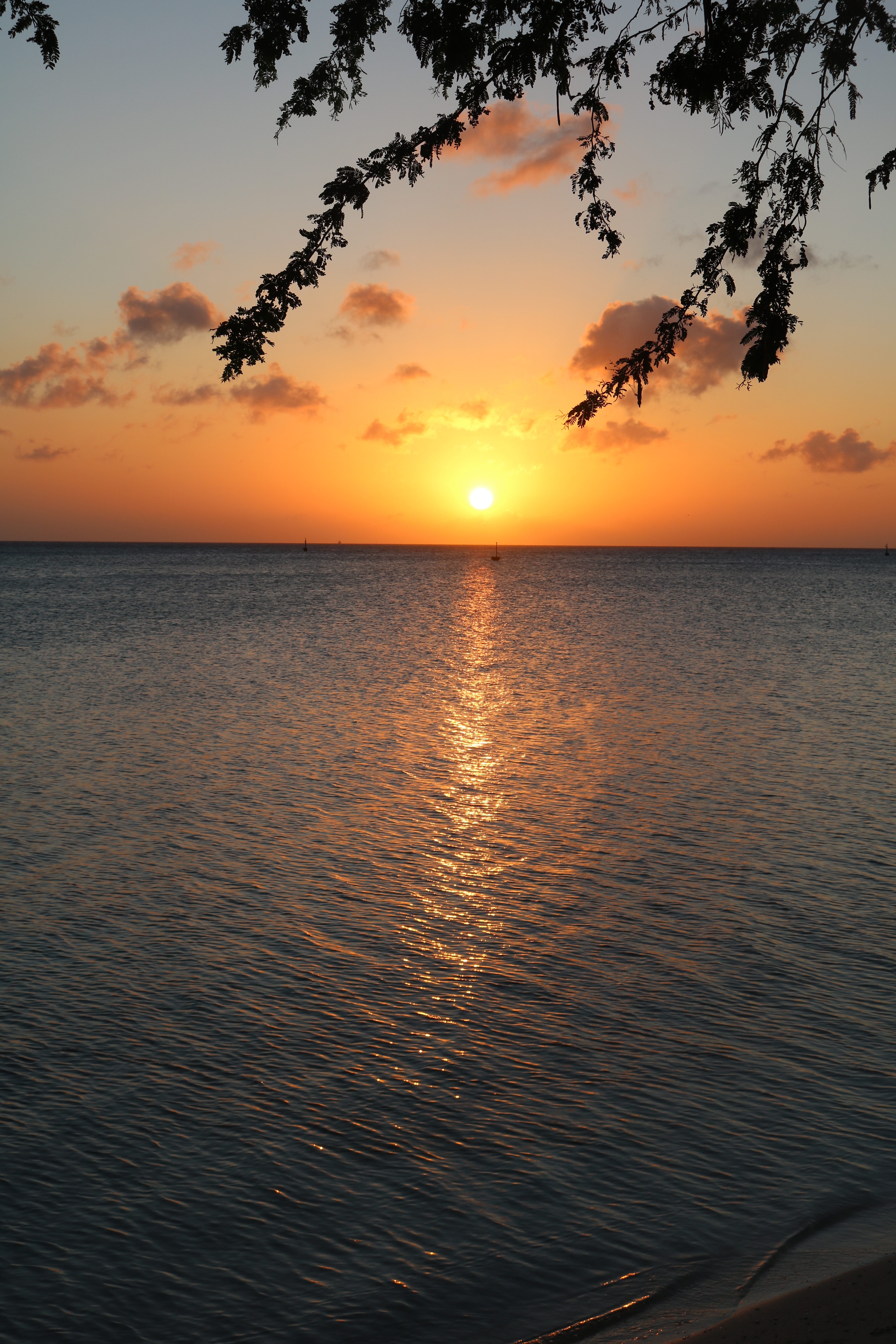 10756132416_IMG_1579